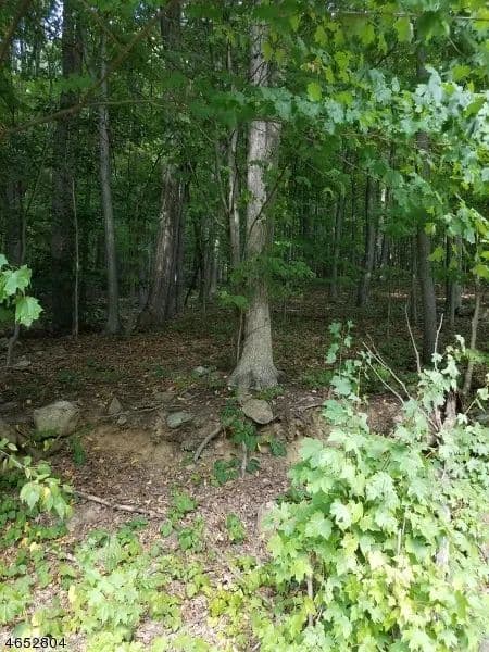 Vacant Land in Randolph Twp.