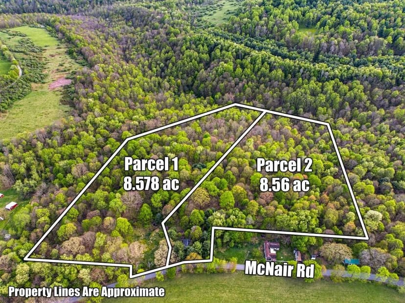 17 Acre Auction - Albright, WV
