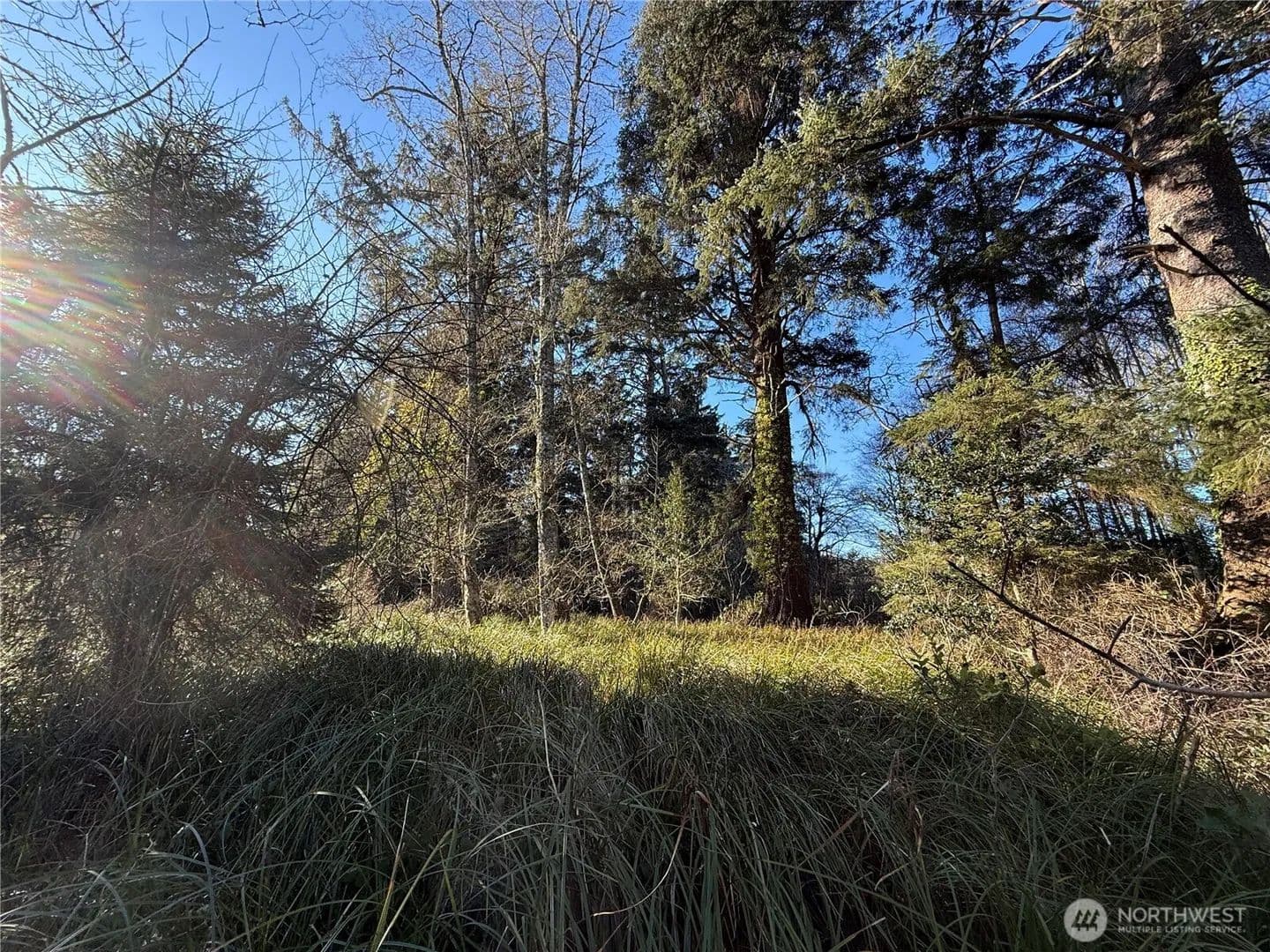 Vacant Land in Ocean Park - Ocean Park, Washington, 98640