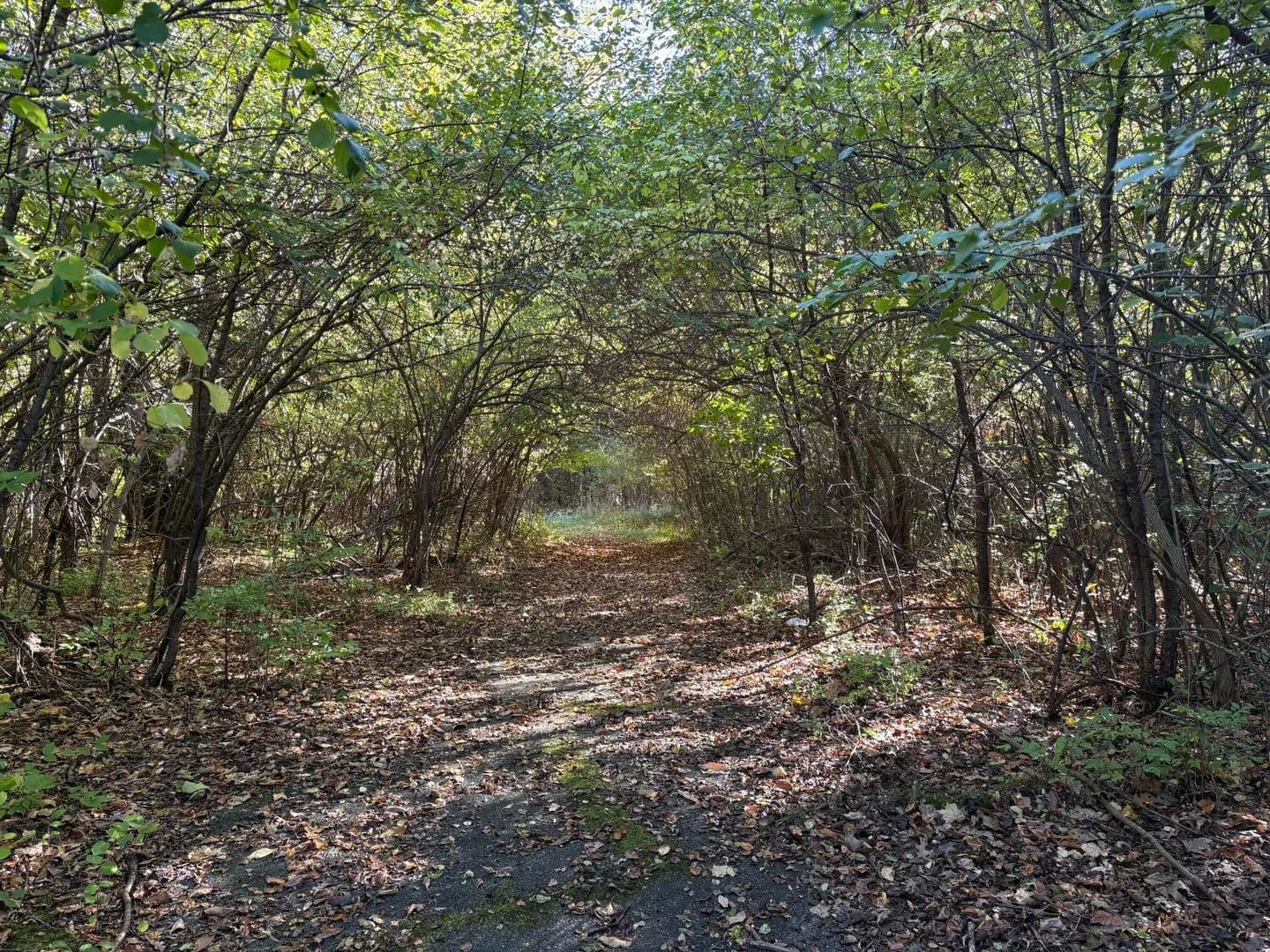 Lots & Land-Other in Jackson - Jackson, Michigan, 49201