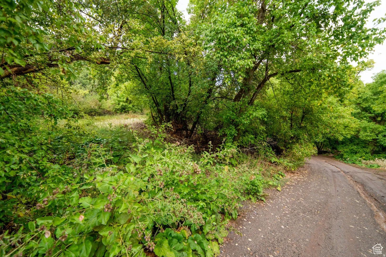 Vacant Land in Midway - Midway, Utah, 84049