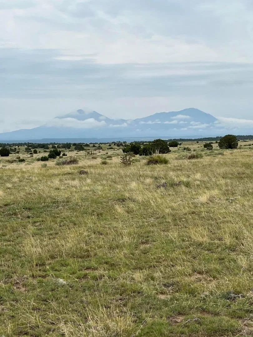 215 Greenhorn, Walsenburg, CO 81089 - Walsenburg, Colorado, 81089