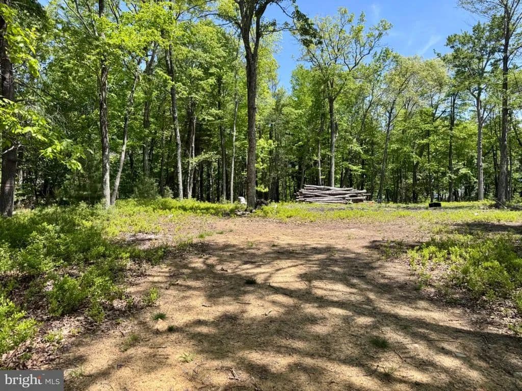 1.01 Acres of Land for Sale in Franklin, West Virginia - Franklin, West Virginia, 26807