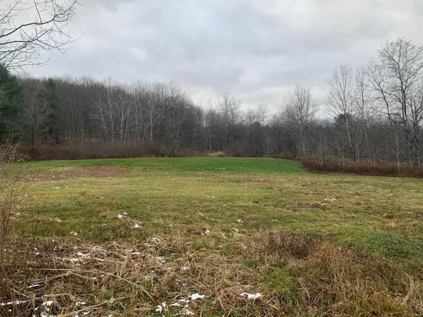 Land -Single Family Acreage in Mount Upton