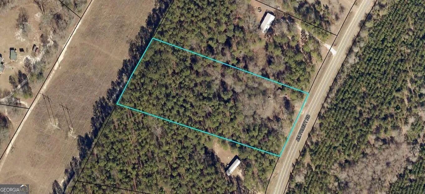 Land -Single Family Acreage in Eastman - Eastman, Georgia, 31023