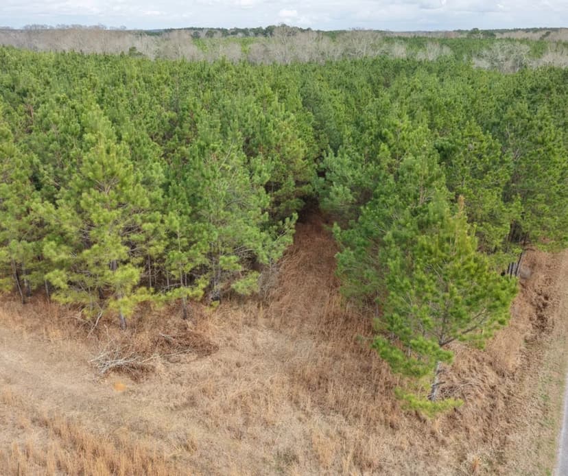 70 Acres in Jefferson Davis County in Carson, MS