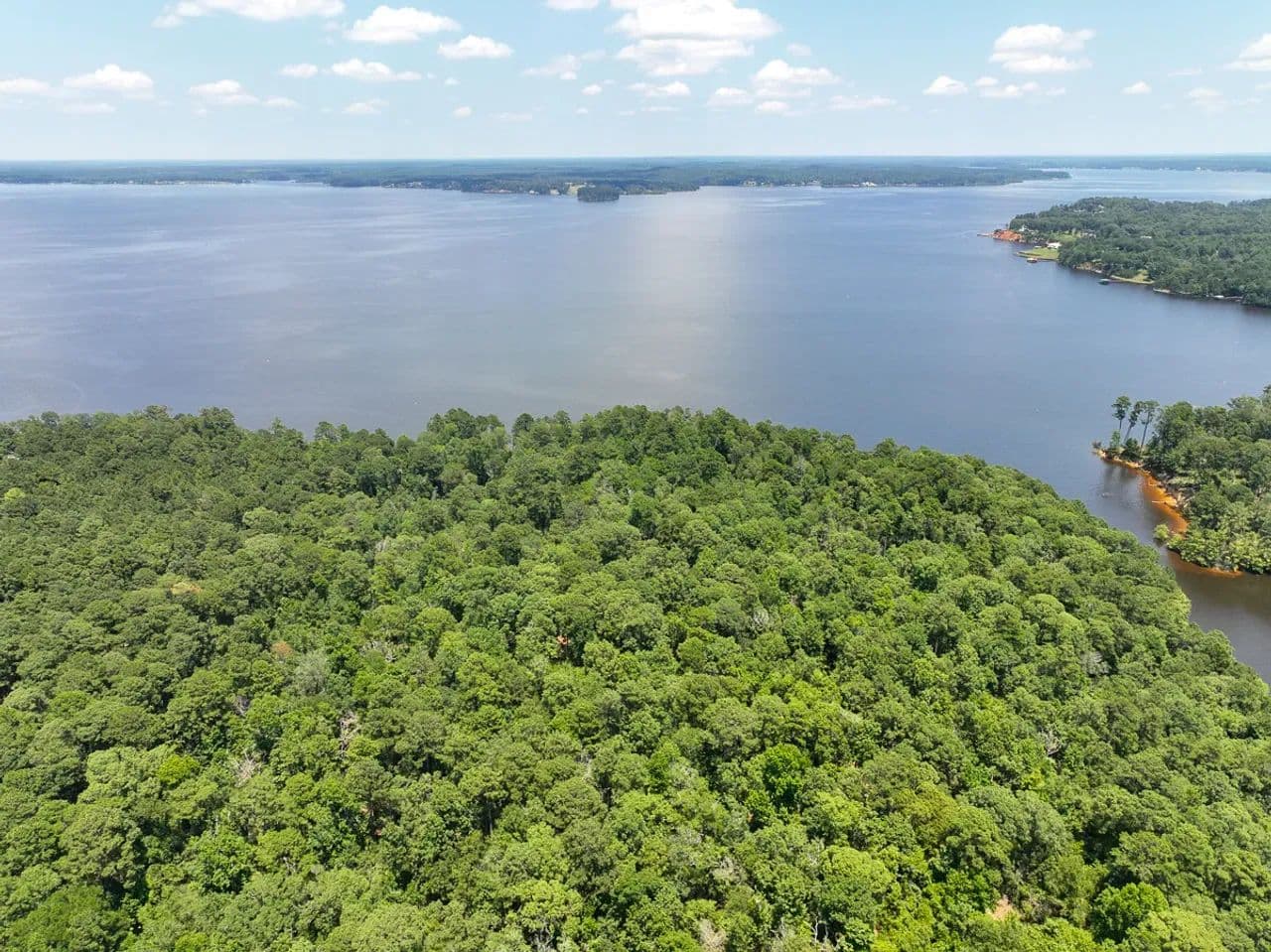 10 Acres | T-4 | Lake Front - Toledo Bend | 1022 - Milam, Texas, 75948
