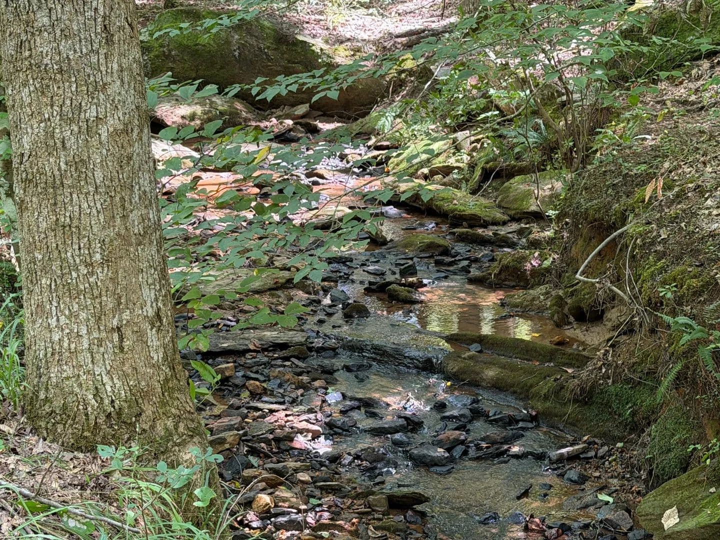 8± Acres of Privacy, Potential & Creekside Charm in Daviston, AL - Dadeville, Alabama, 36861