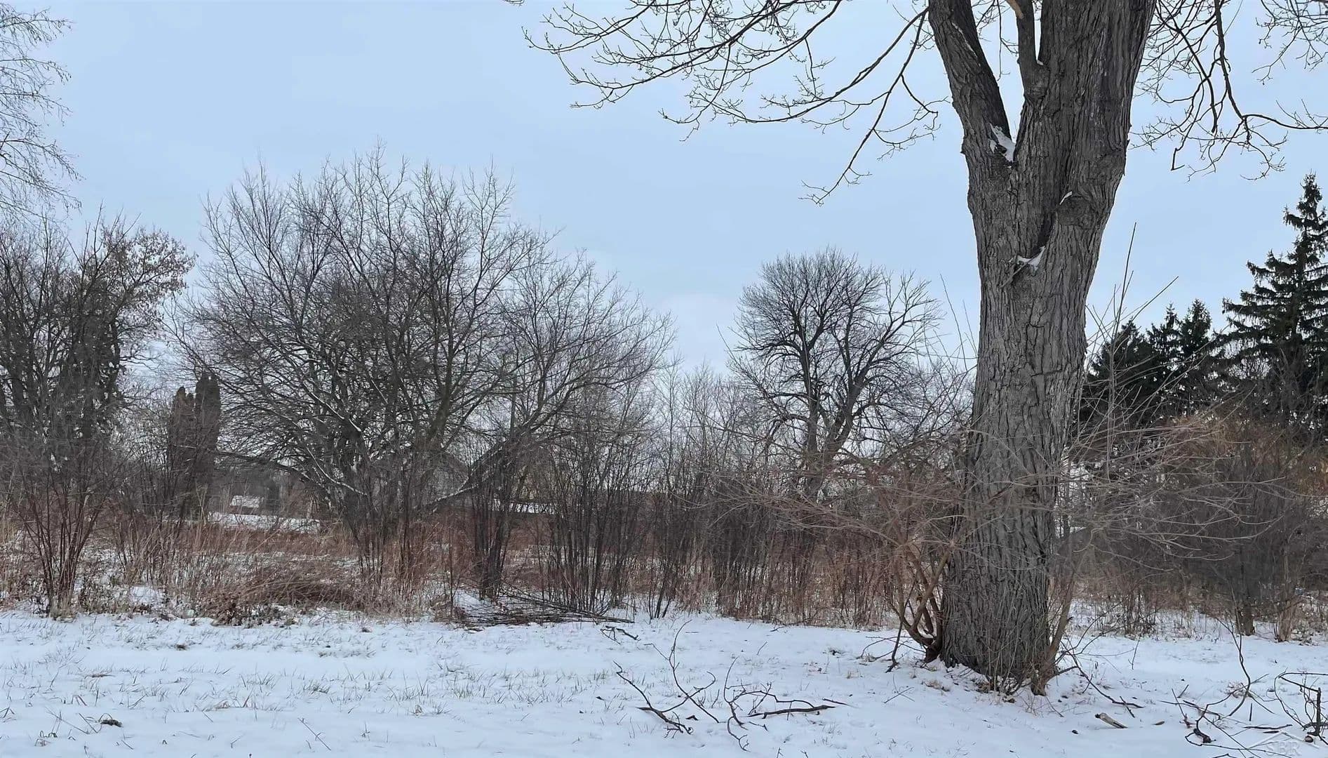 Vacant Land in Saginaw - Saginaw, Michigan, 48601
