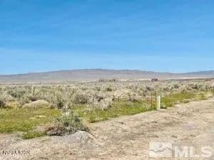 Lots & Land-Other in Lovelock