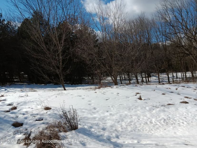 Lots & Land-Other in Owosso