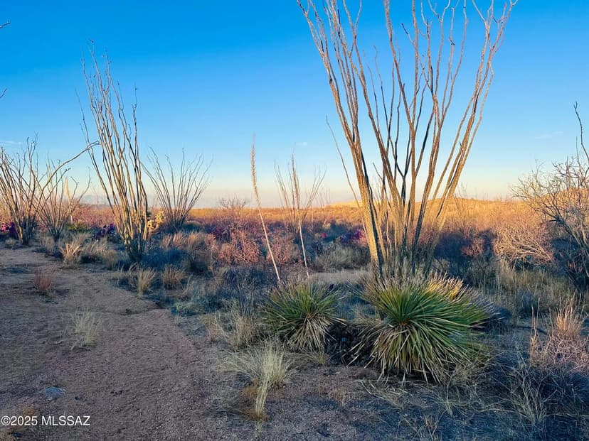 Property from 7377 W Bucking Horse Road - KW