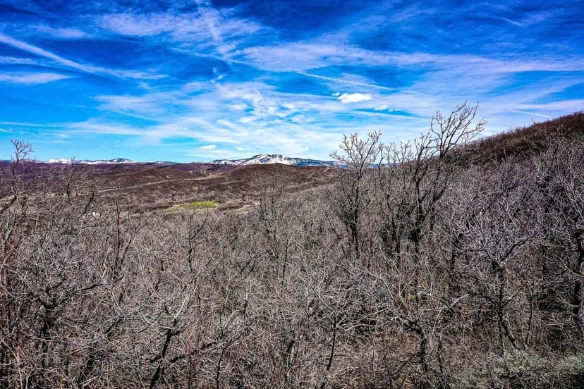 25270 Bella Vista Circle