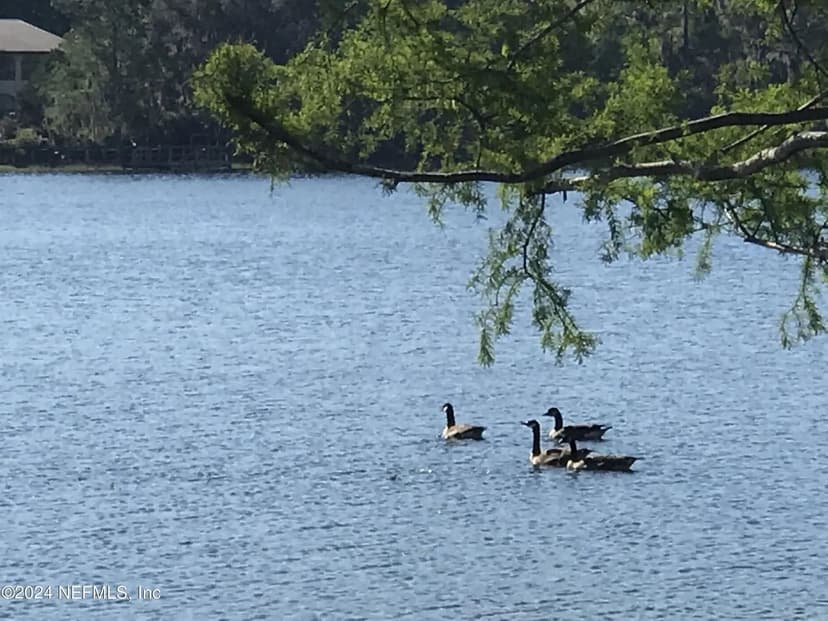 Lots & Land-Other in Interlachen