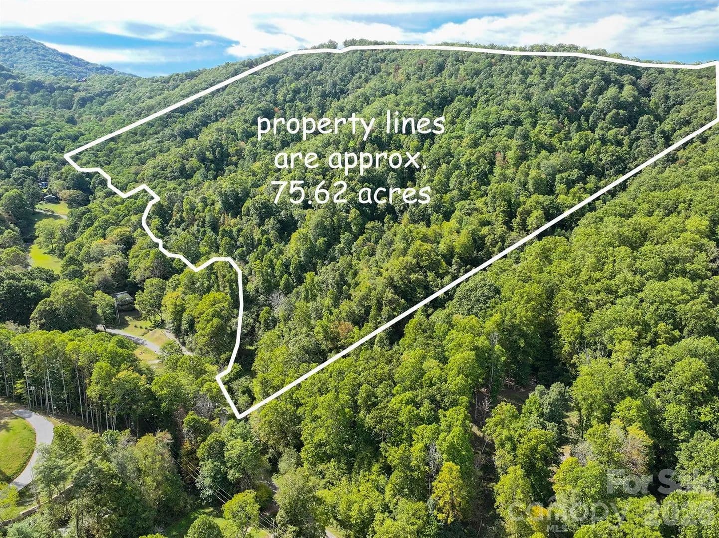 75.62 Acres of Land for Sale in Waynesville, NC - Waynesville, North Carolina, 28786