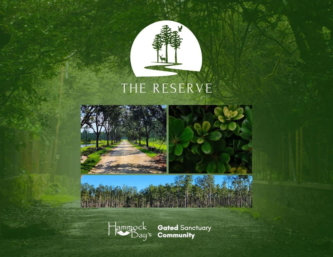Property from Lot 4A Reserve at Hammock Bay - KW - Freeport, Florida, 32439
