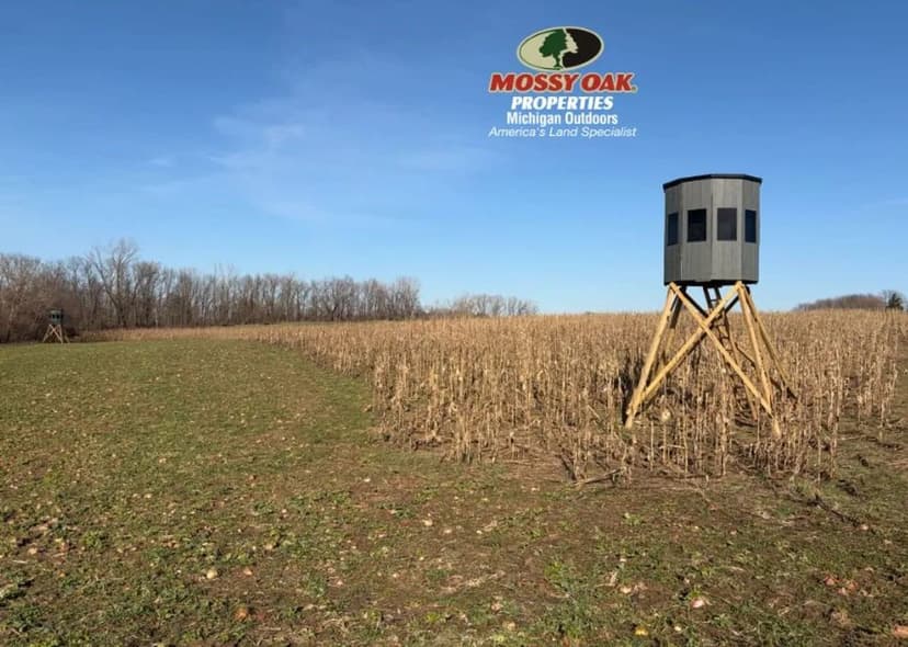 70.57 +/- Acre Turkey Setup / Van Buren County, MI / Hartford, MI / Land For Sale
