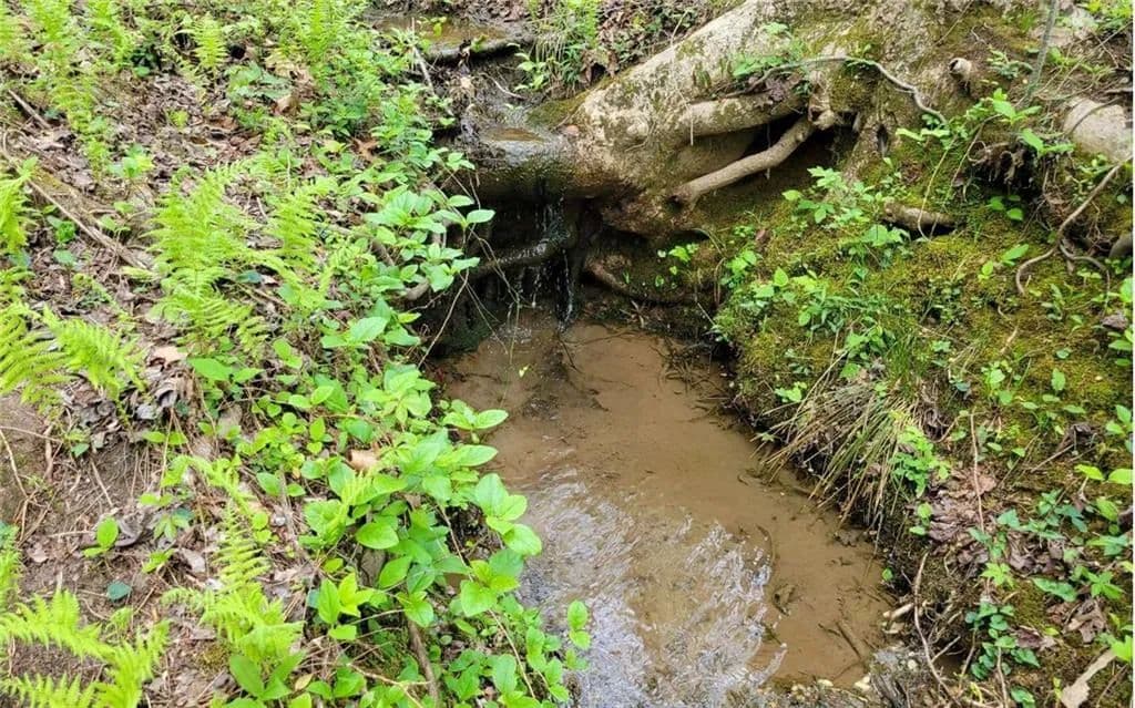 Vacant Land in Ellijay - Ellijay, Georgia, 30536