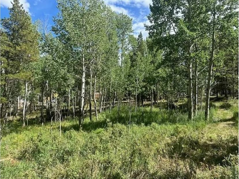 Vacant Land in Black Hawk
