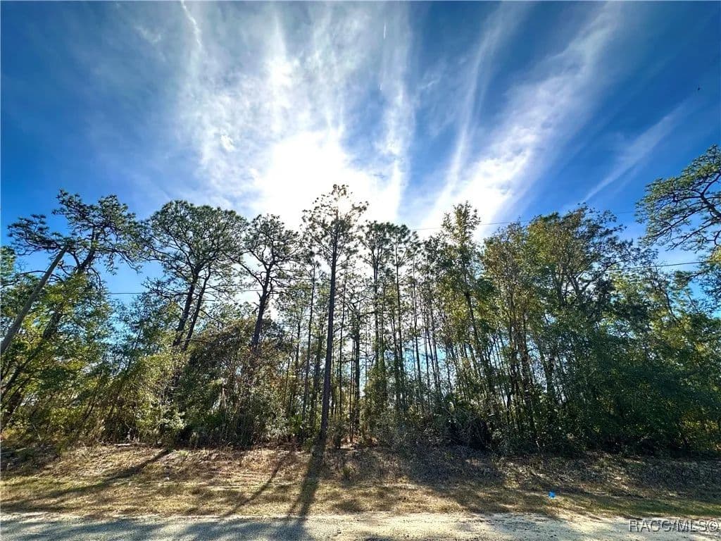 0.23 Acres of Land for Sale in Citrus Springs, Florida - Citrus Springs, Florida, 34434