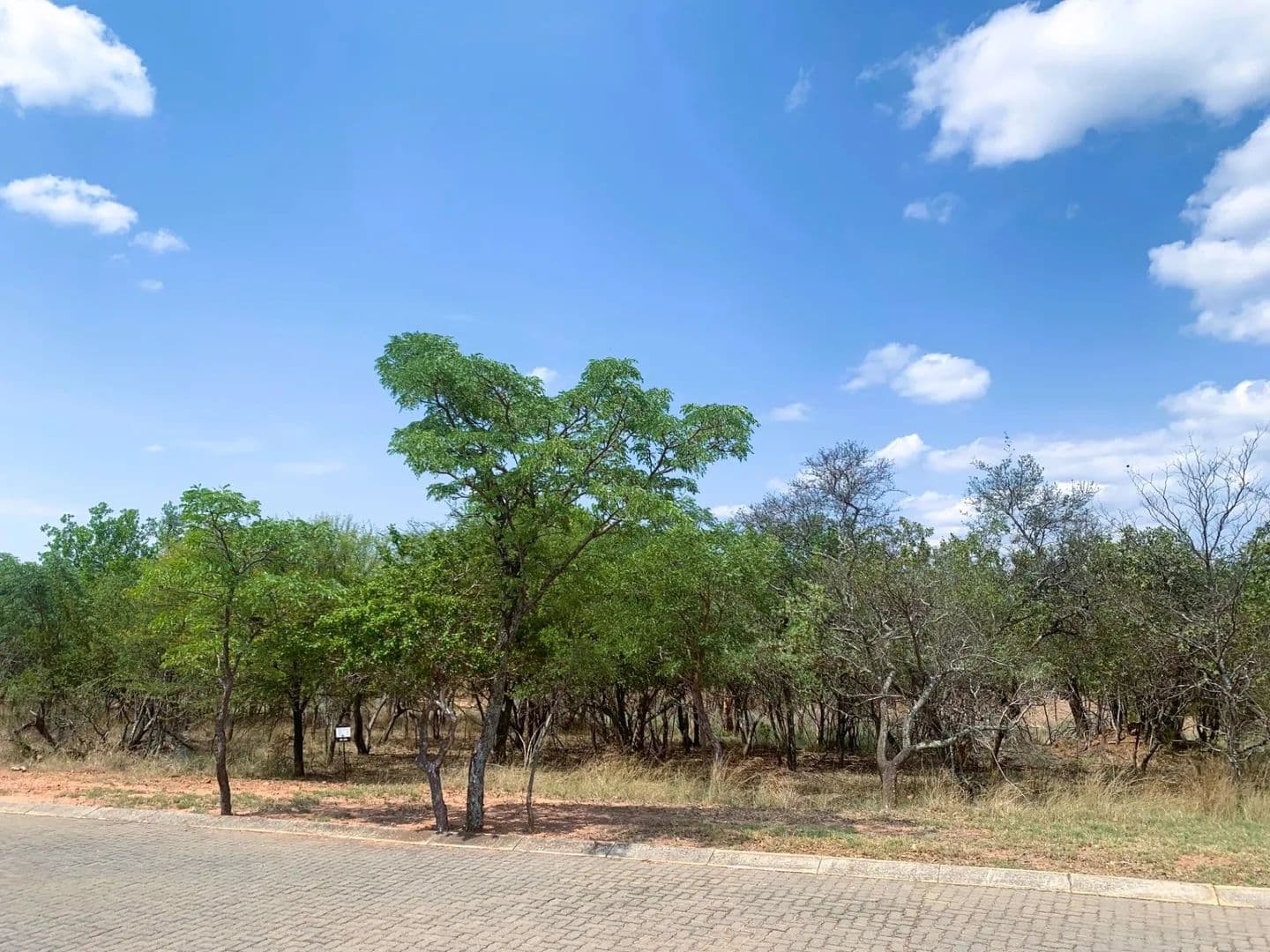 1239 Acres of Land for Sale in Modimolle, Limpopo - land for sale