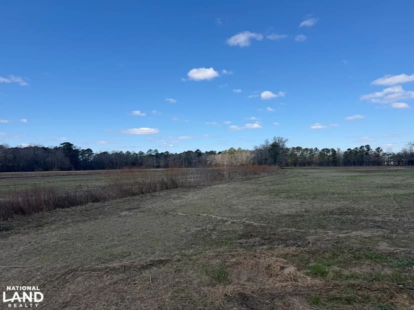 McPhail Road Development