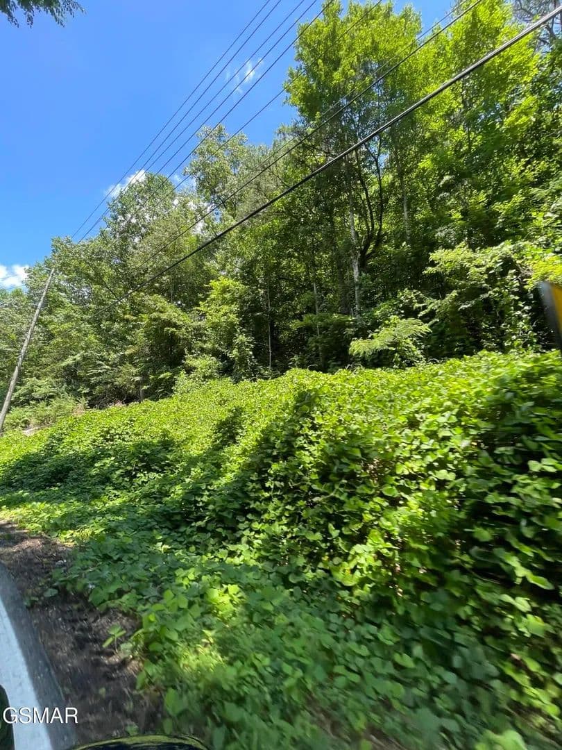 Property from 1 Pittman Center Road - KW - Sevierville, Tennessee, 37876
