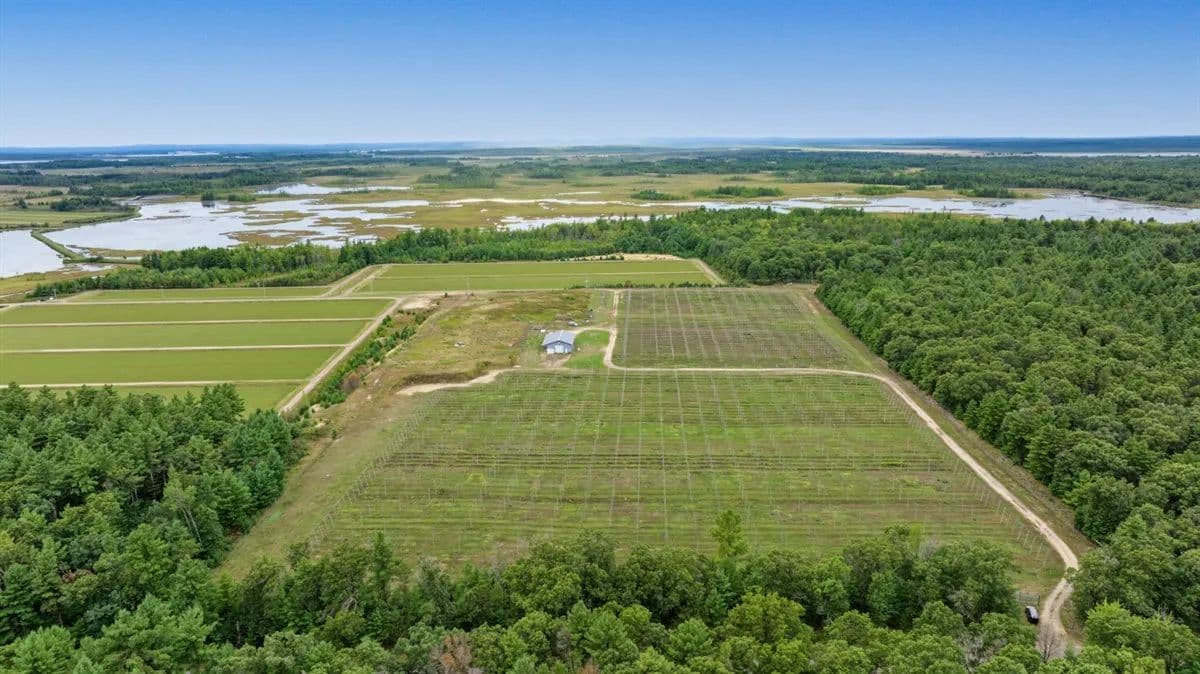 34.5± acre high-ground property in the Town of Bear Bluff - Warrens, Wisconsin, 54666