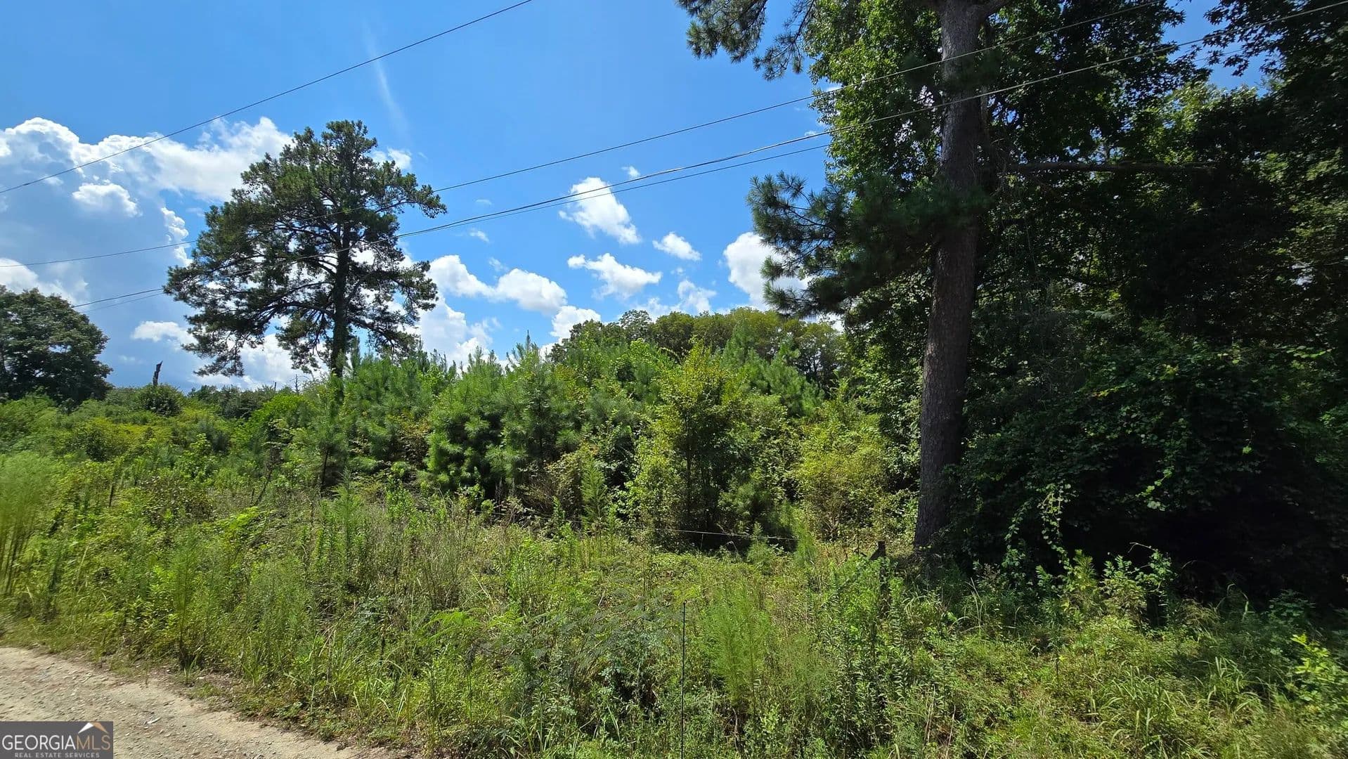 Lots & Land-Other in Macon - Macon, Georgia, 31216