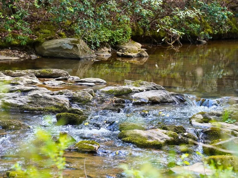 Angler's Bend: 13.5+/- Wooded Acres with Bold Creek Frontage in Surry County, NC