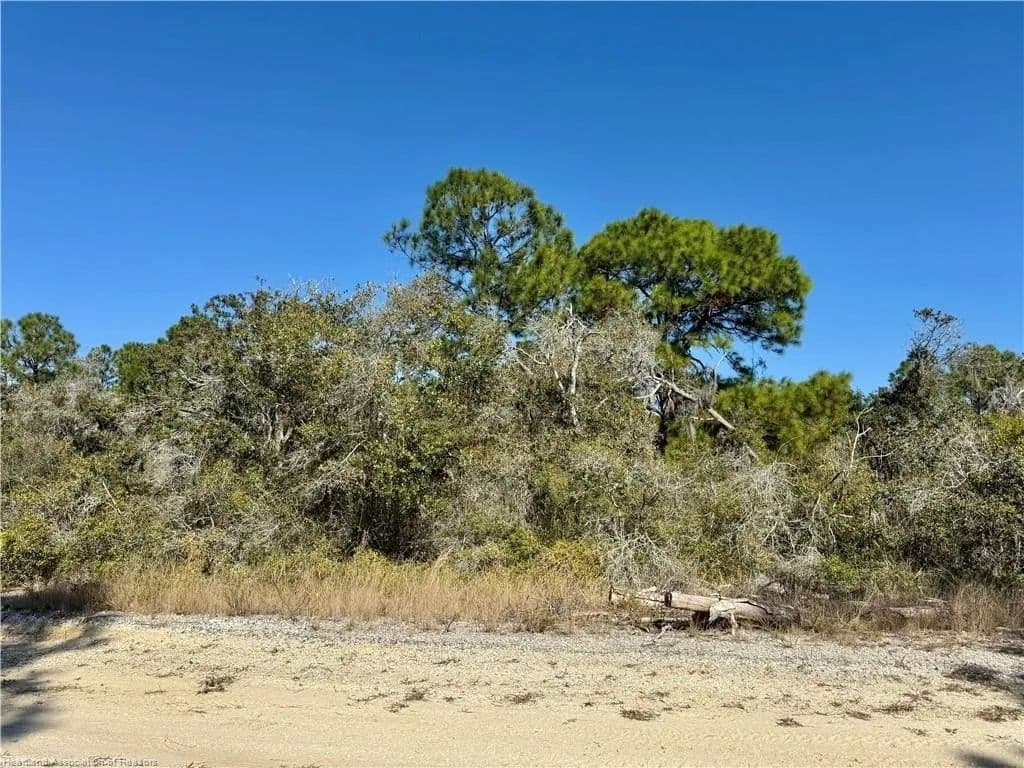 Lots & Land-Other in Lake Placid - Lake Placid, Florida, 33852