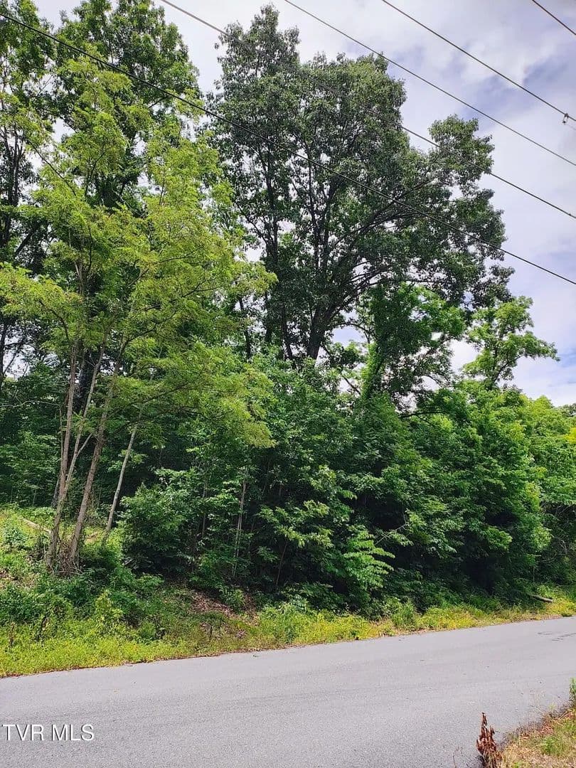 Vacant Land in Kingsport - Kingsport, Tennessee, 37664