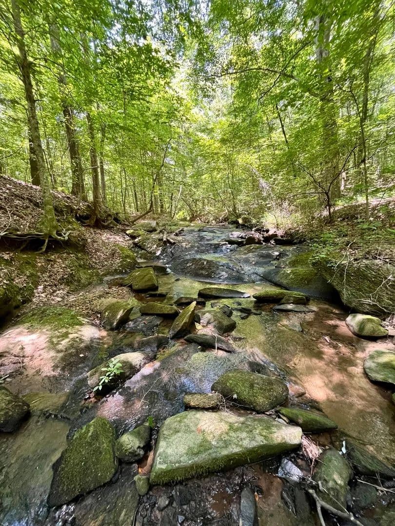 70 +/- Acres in Roanoke, AL - Roanoke, Alabama, 36274