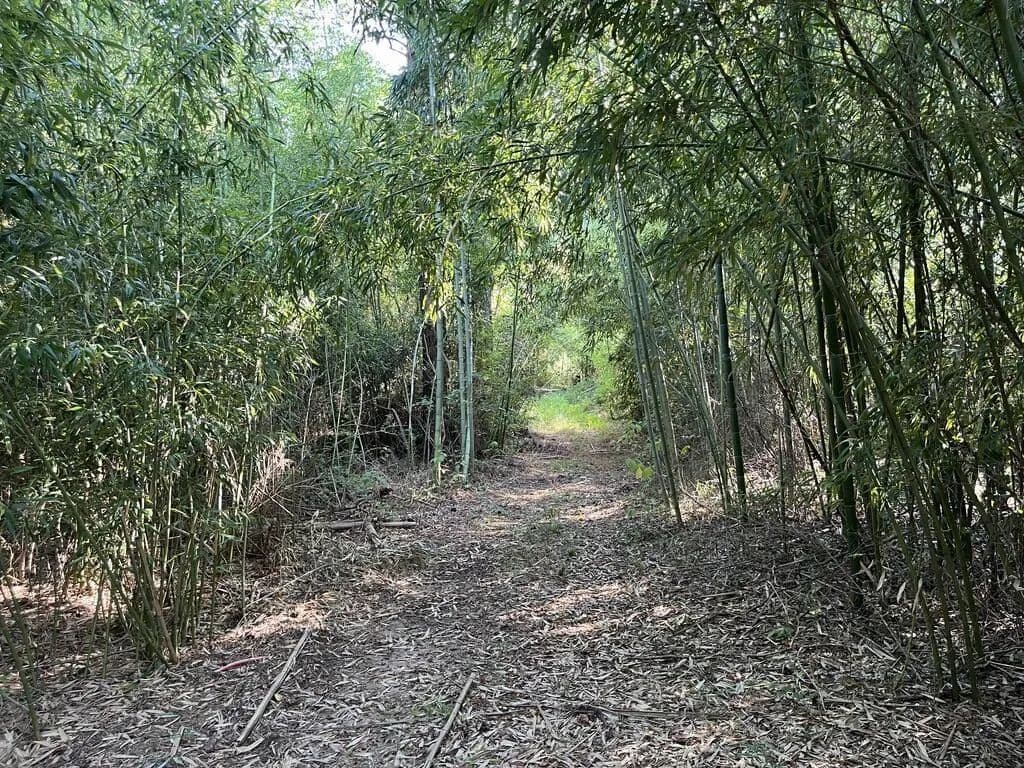 Lots & Land-Other in Huntington - Huntington, Texas, 75949