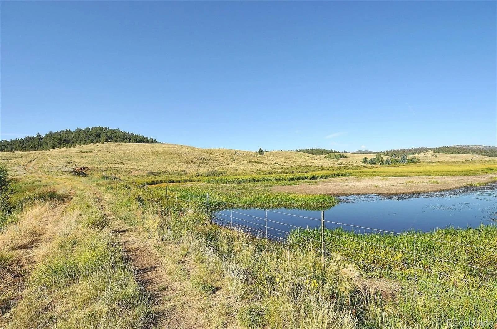 Lots & Land-Other in Hartsel - Hartsel, Colorado, 80449