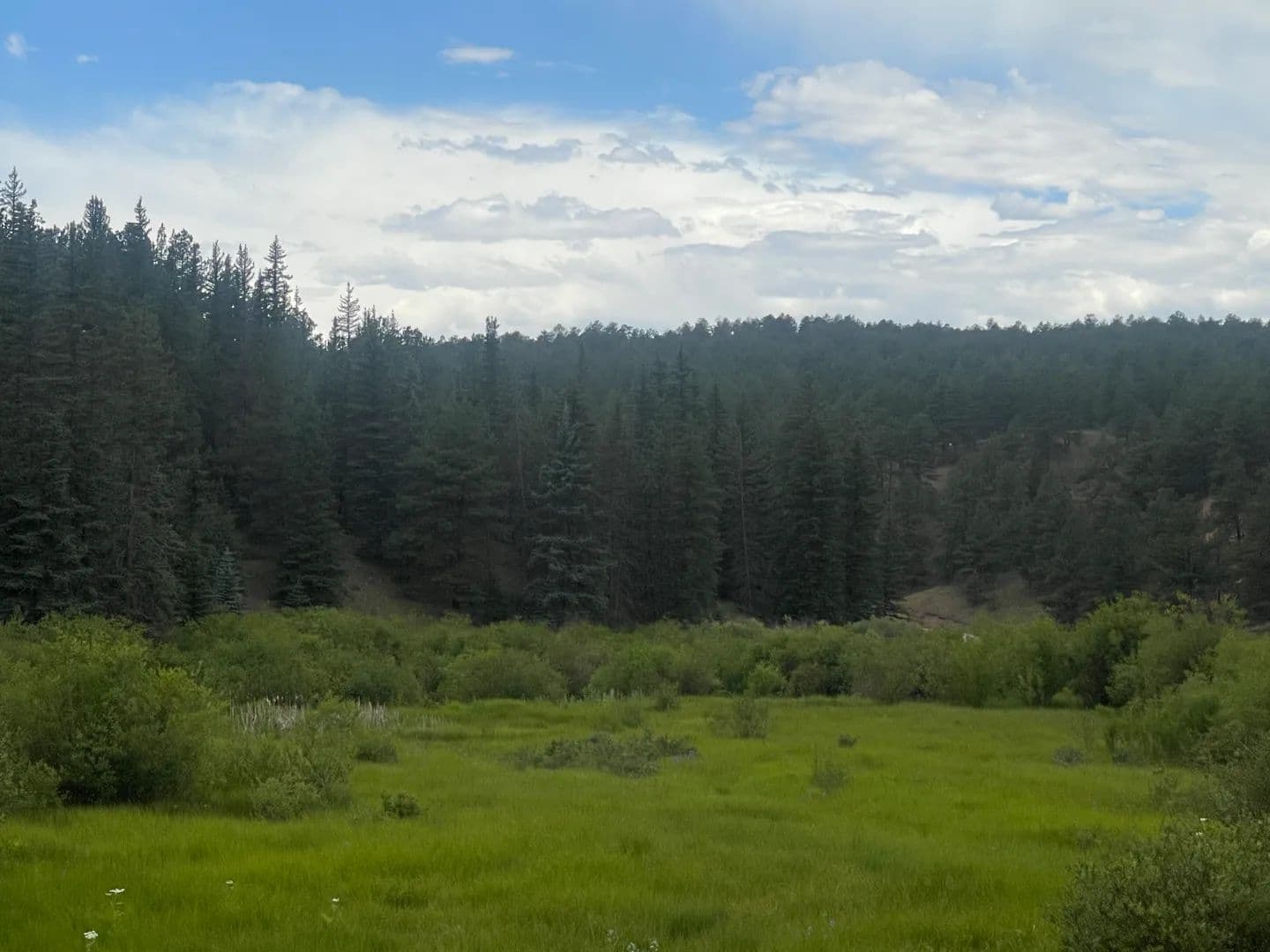 Year round creek - Florissant, Colorado, 80816