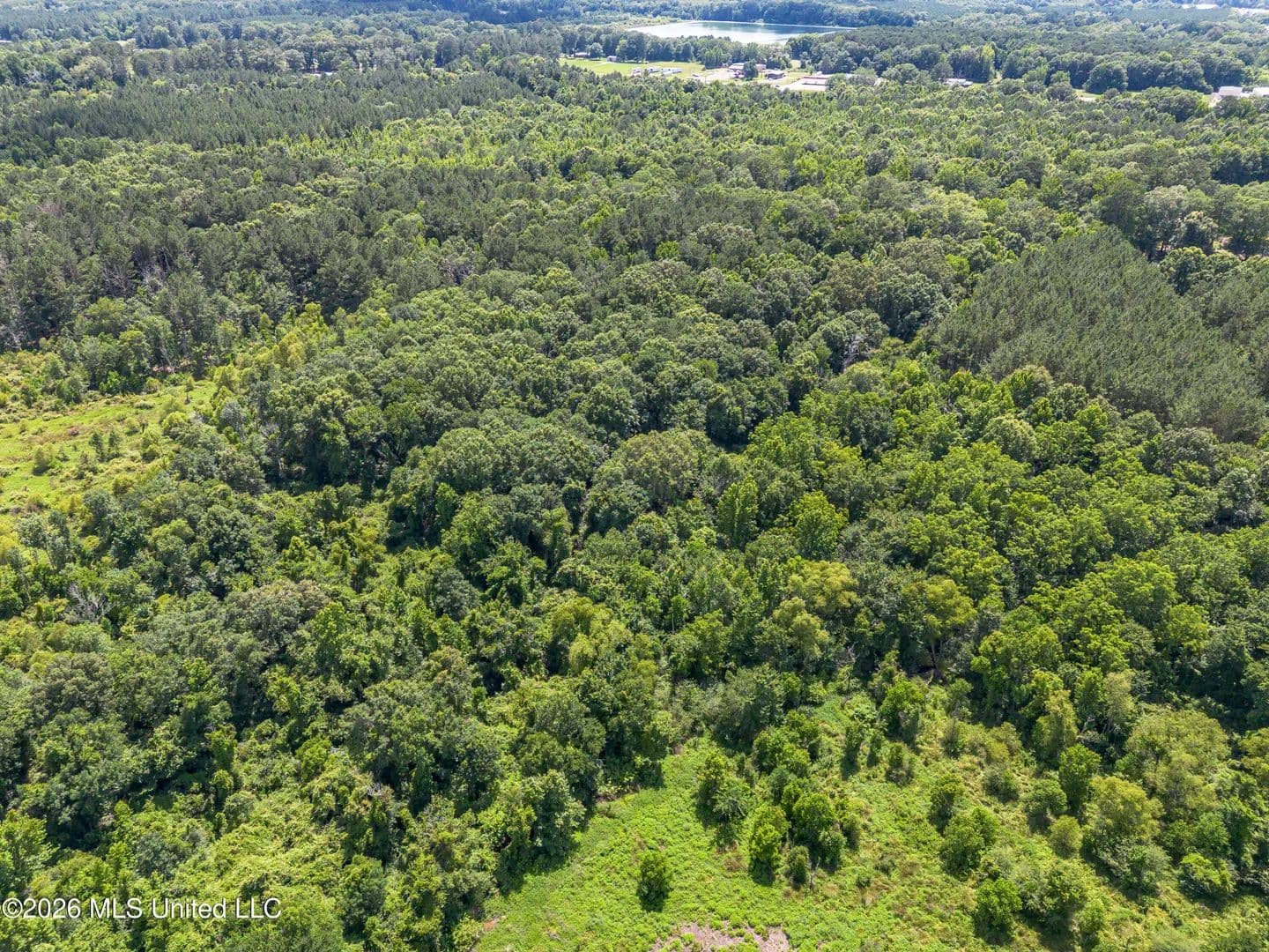 Property from S Van Buren Street - KW - Carthage, Mississippi, 39051