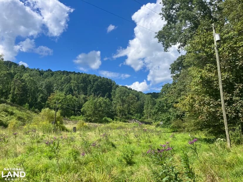 Private Homestead & Hunting Property - Remote Valley Setting