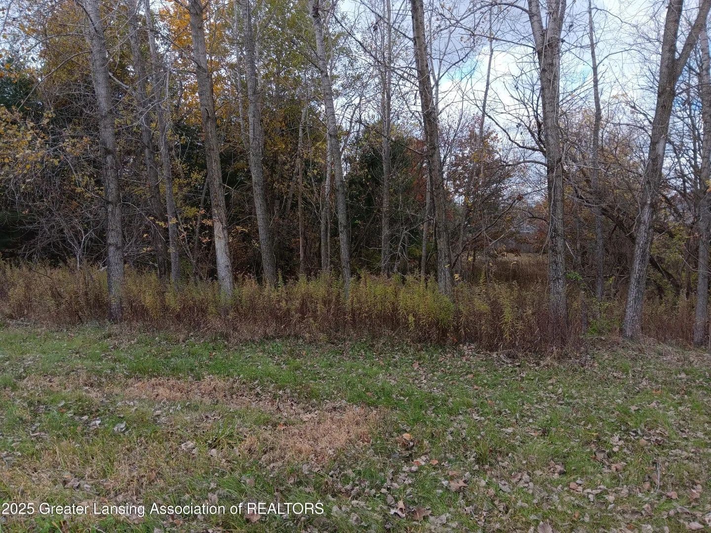 Lots & Land-Other in Perry - Perry, Michigan, 48872