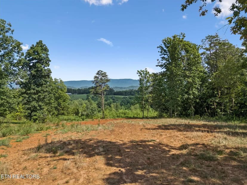 Lots & Land-Other in Maryville