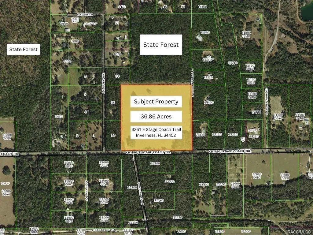 Vacant Land in Inverness - Inverness, Florida, 34452