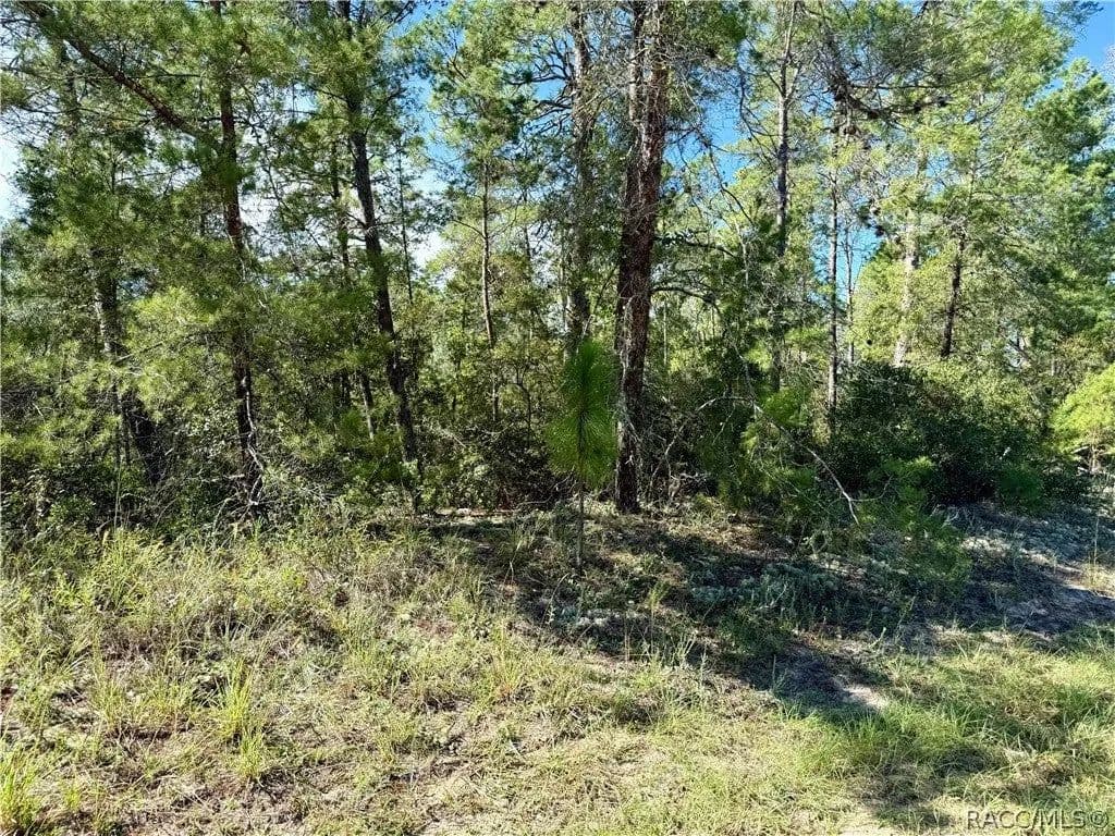 Lots & Land-Other in Citrus Springs - Citrus Springs, Florida, 34433
