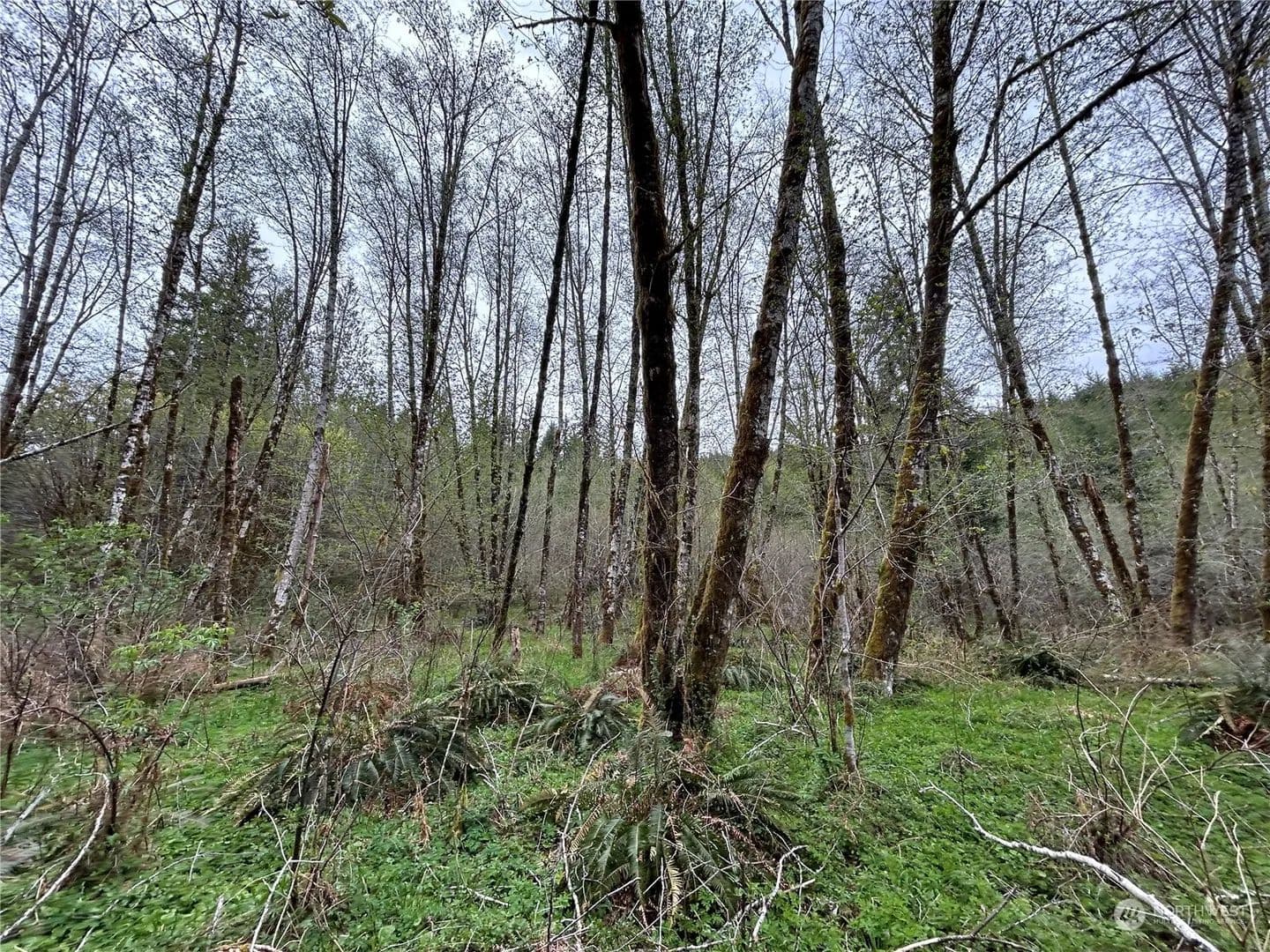 Vacant Land in Longview - Longview, Washington, 98632