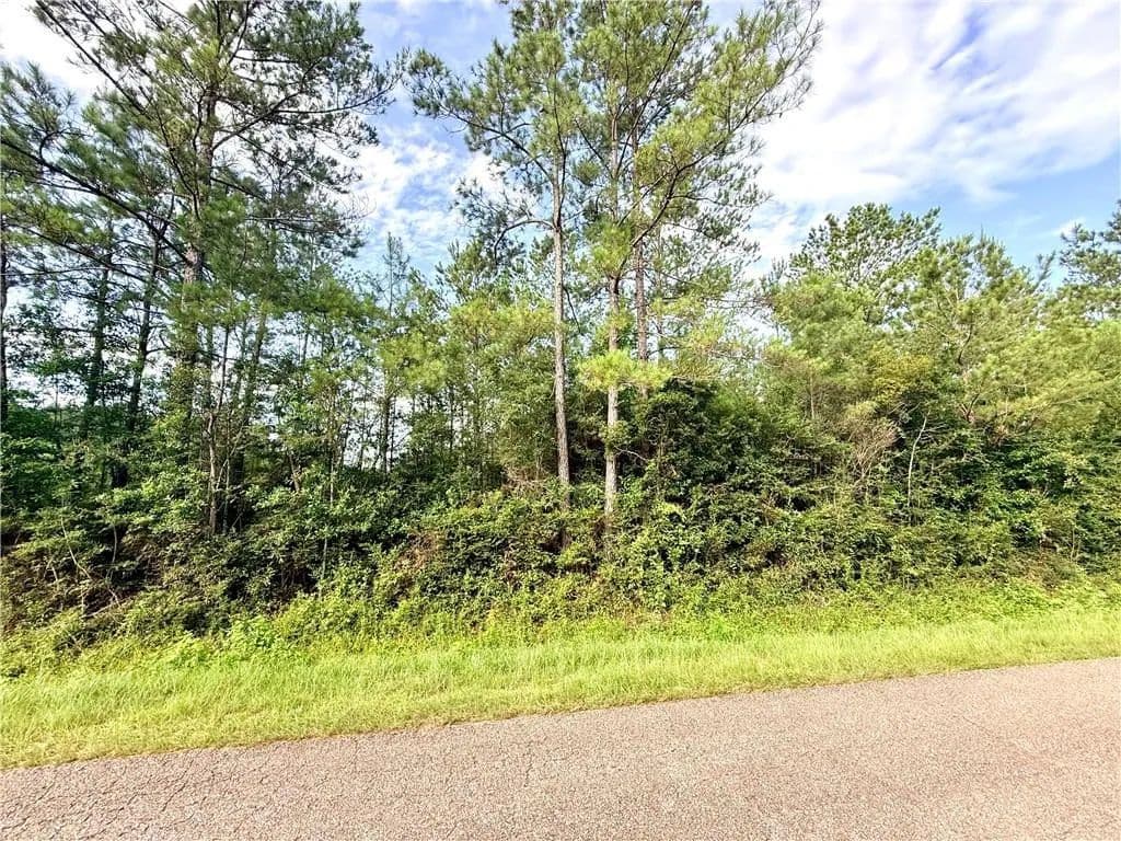 4 Acres of Land for Sale in Franklinton, LA - Franklinton, Louisiana, 70438