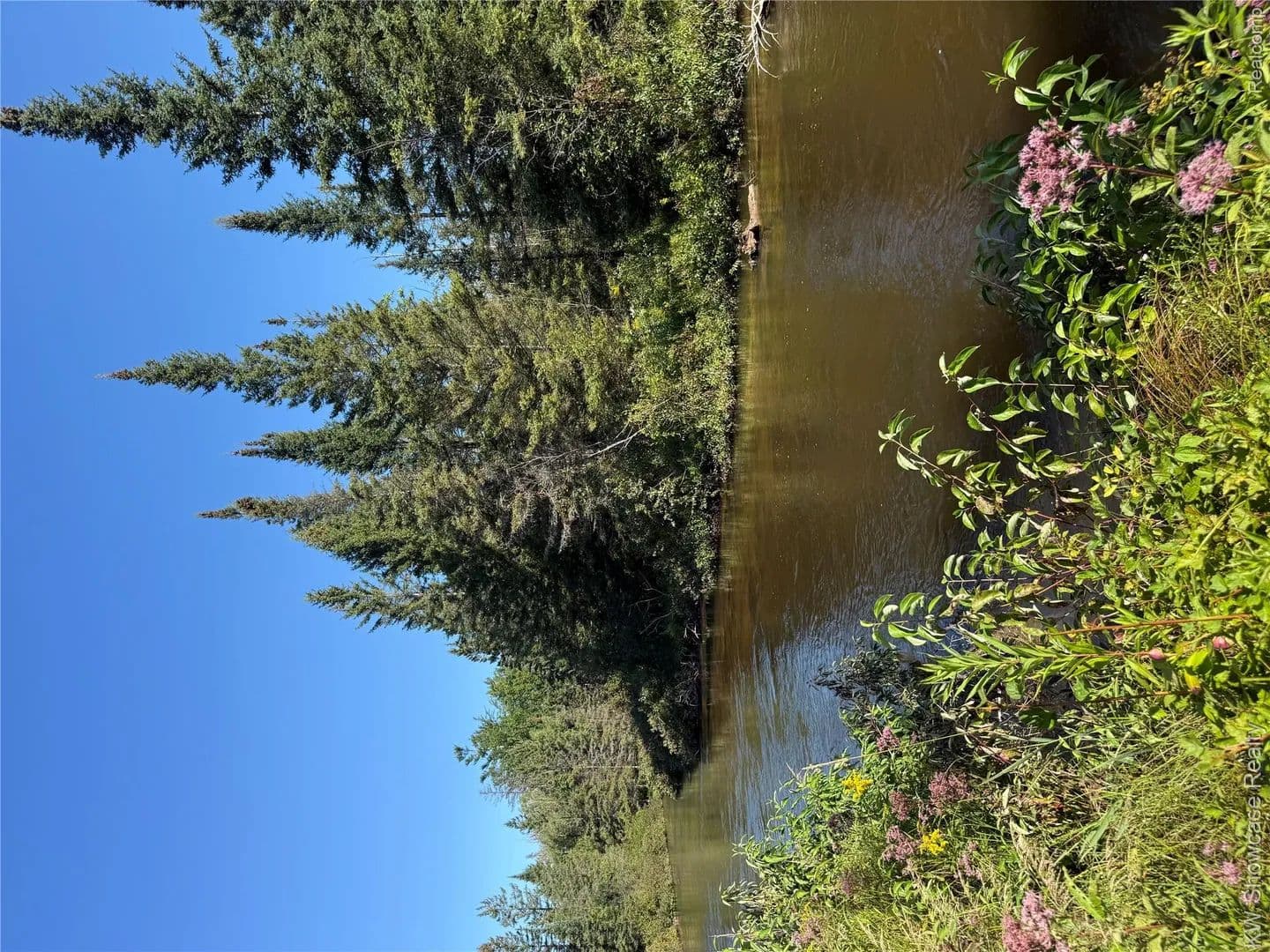 12.87 Acres of Land for Sale in Avery Township, MI - Michigan, 49709