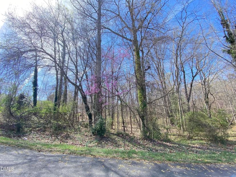 Lots & Land-Other in Siler City