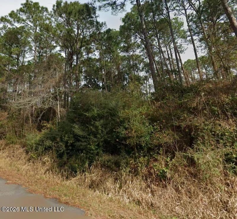 Property from W Pine Street - KW - Ocean Springs, Mississippi, 39564