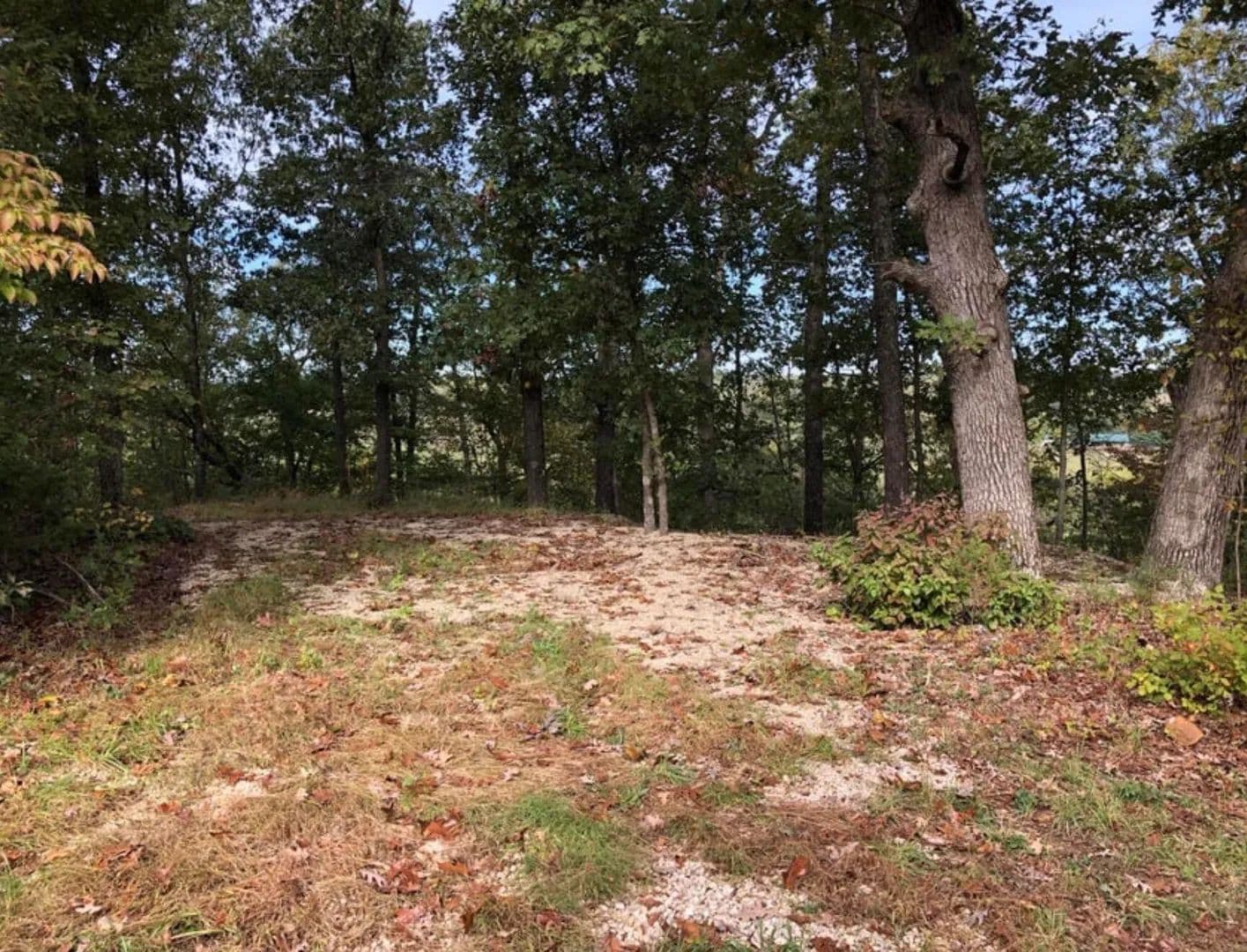 62 Acres of Land for Sale in Windyville, MO - Windyville, Missouri, 65783