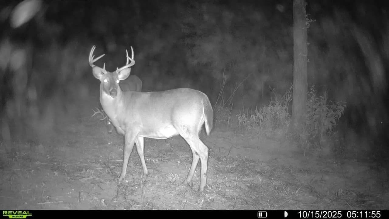 Autumn Road Big Buck Honey Hole - Malone, Florida, 32445