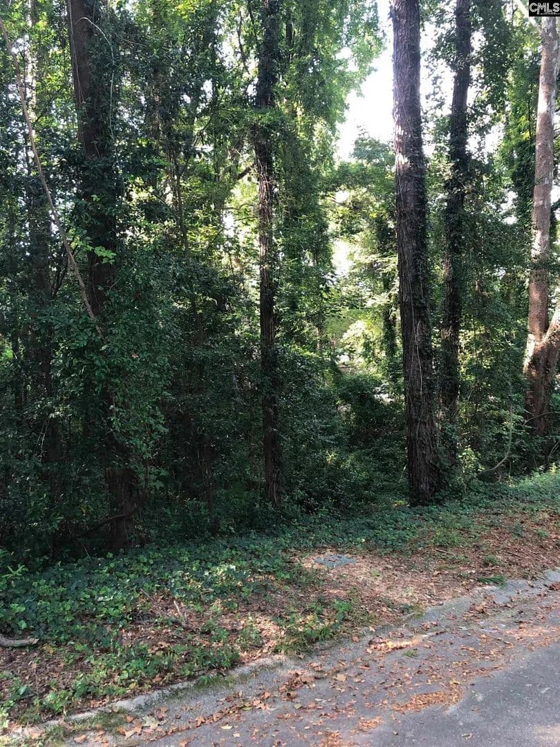 Vacant Land in Columbia